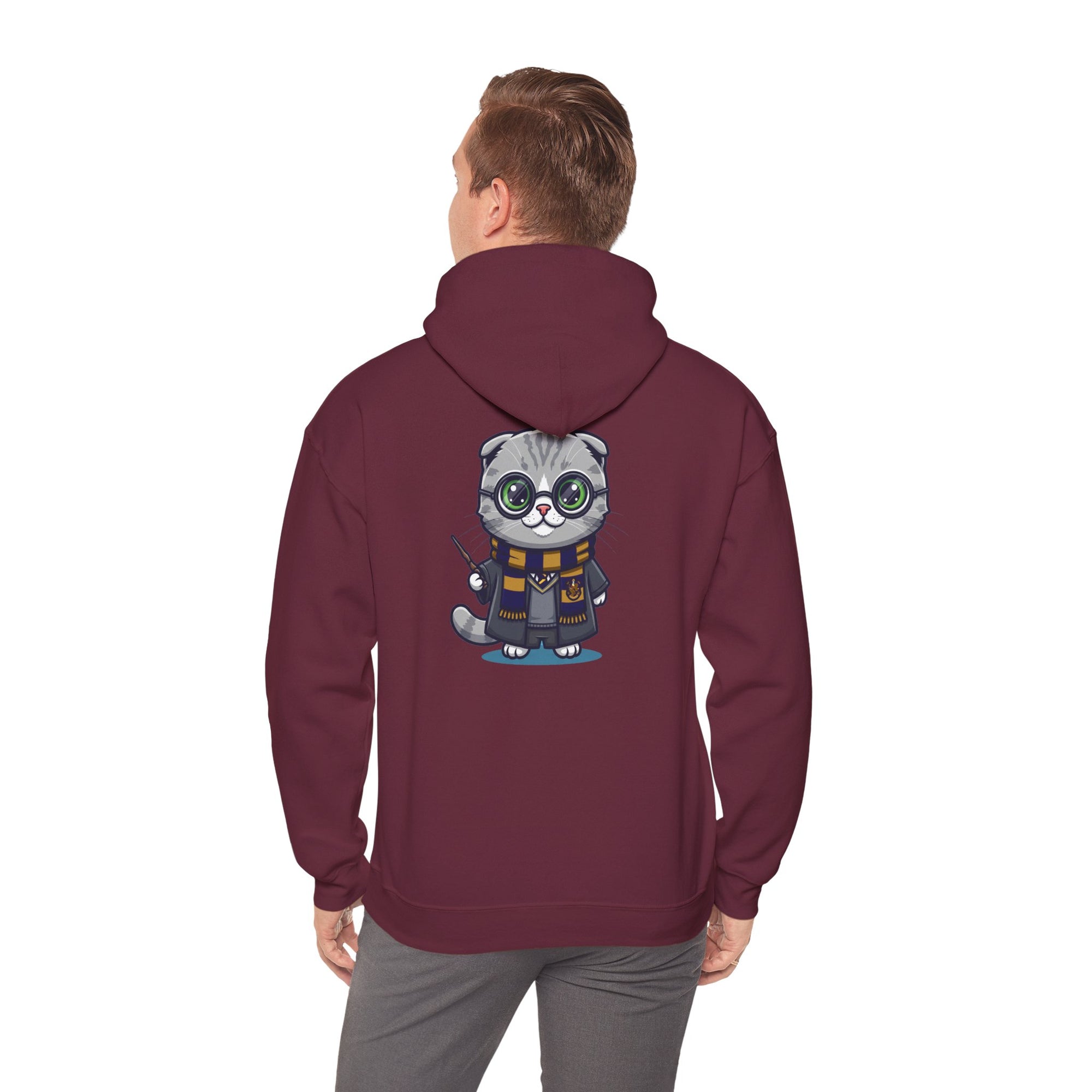 Ravenpaw Harry Potter Hoodie - Funny Wizarding World Sweatshirt | Cute Potter Cat Gift - Atlas Briefly