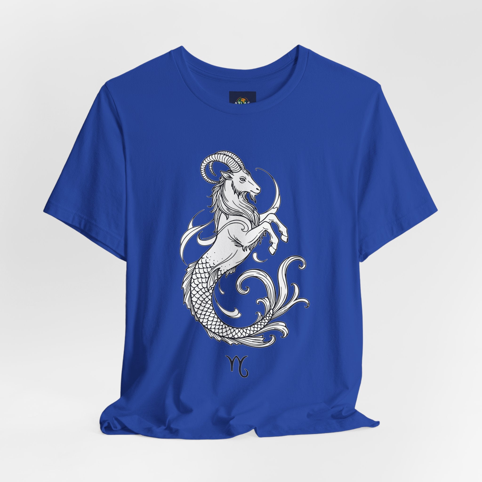 Capricorn Zodiac Tee - Unisex Minimalist Horoscope Shirt in Black and White