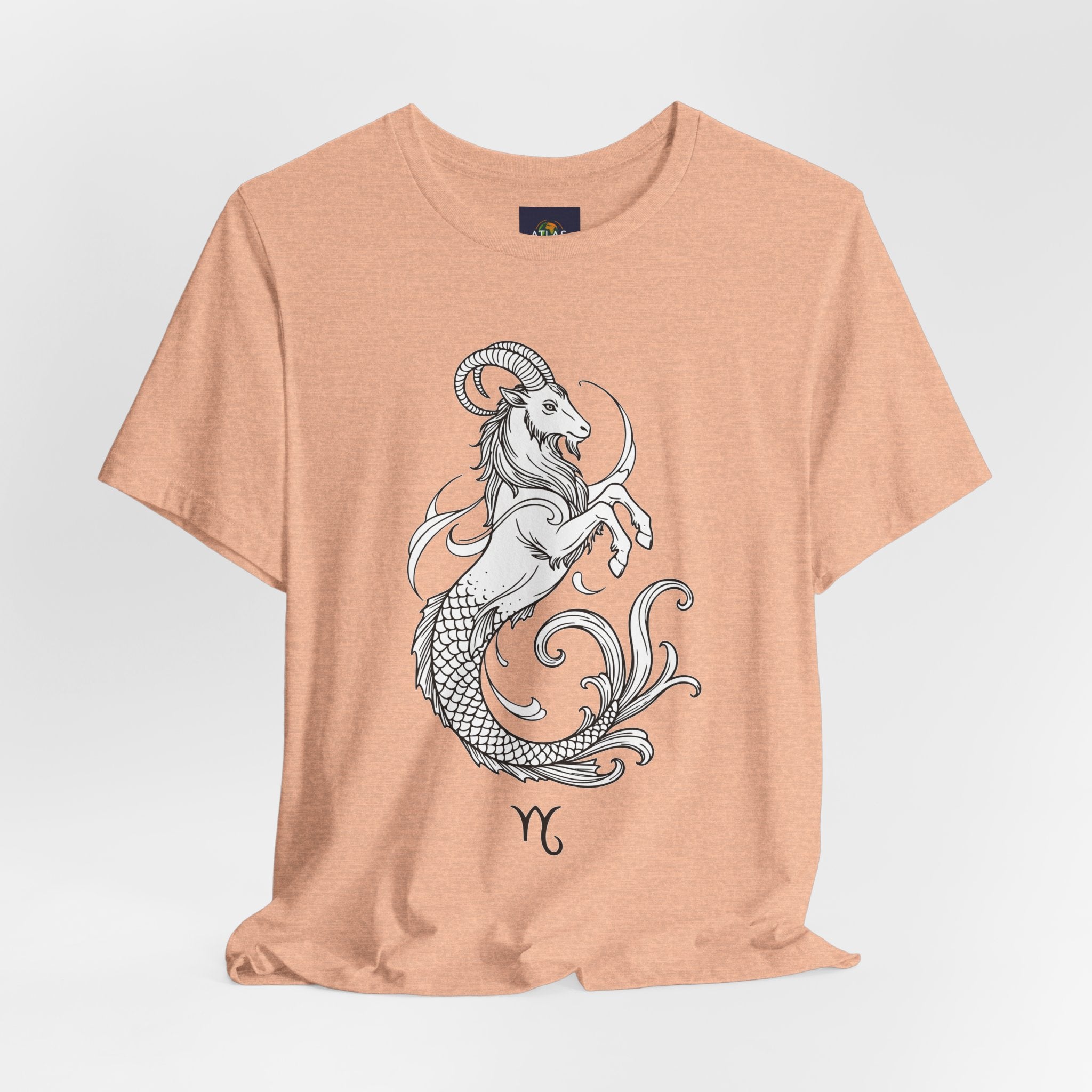 Capricorn Zodiac Tee - Unisex Minimalist Horoscope Shirt in Black and White