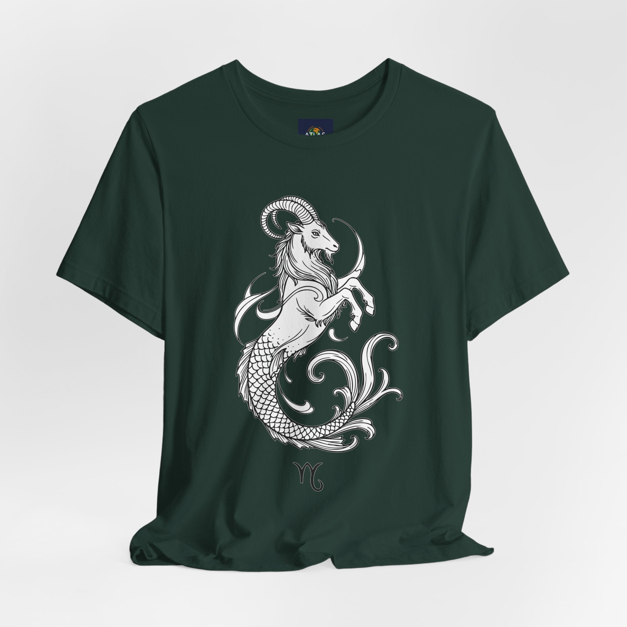 Capricorn Zodiac Tee - Unisex Minimalist Horoscope Shirt in Black and White