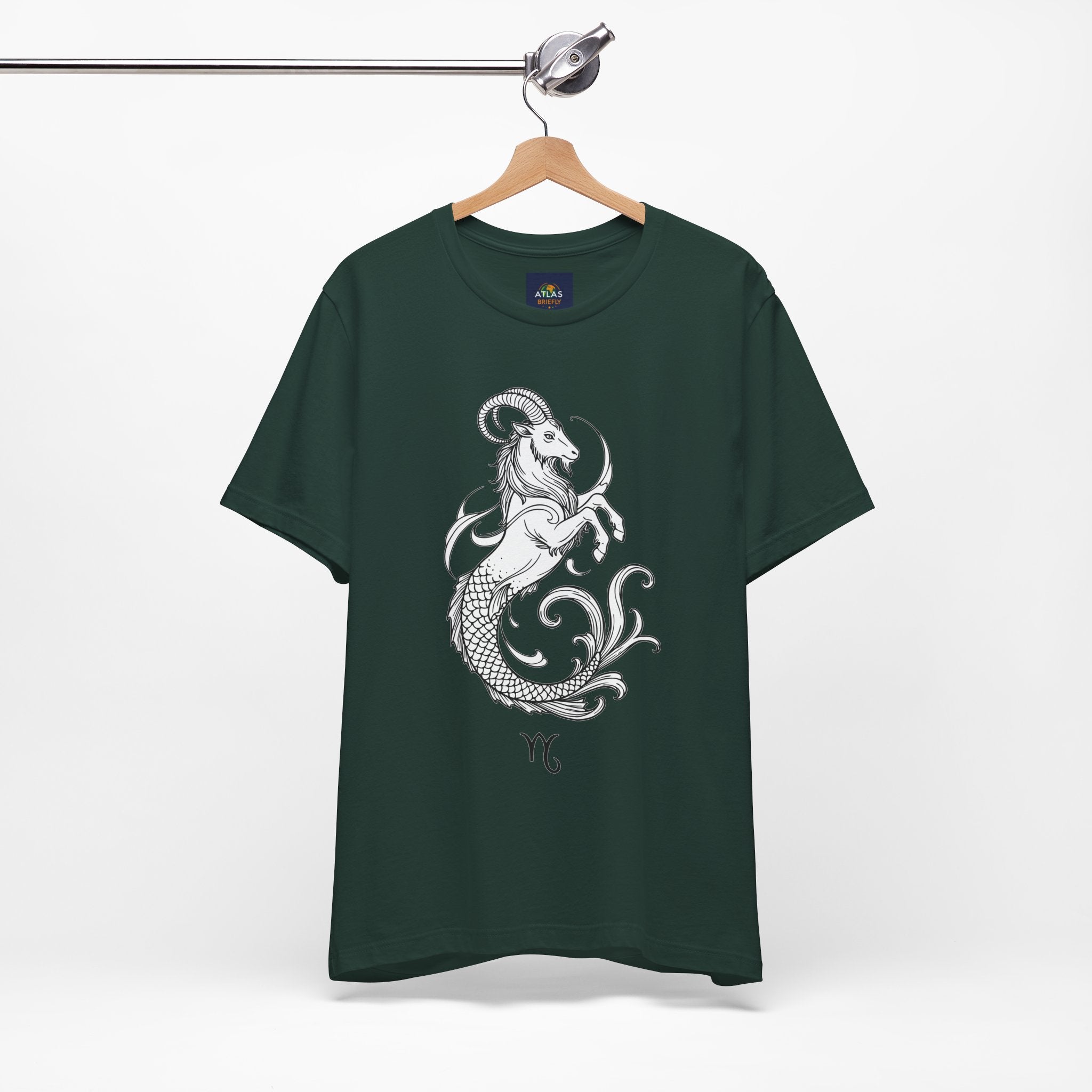 Capricorn Zodiac Tee - Unisex Minimalist Horoscope Shirt in Black and White