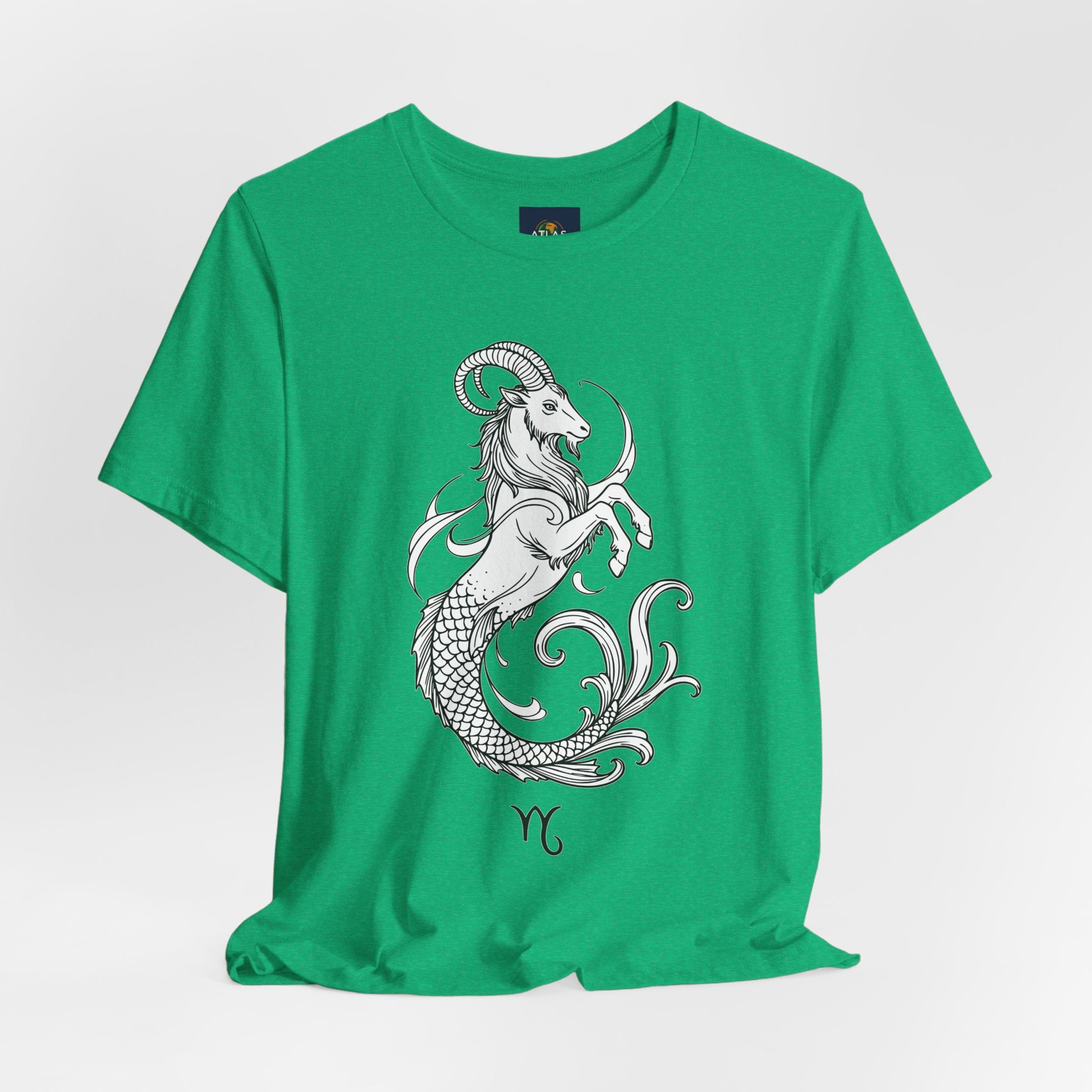 Capricorn Zodiac Tee - Unisex Minimalist Horoscope Shirt in Black and White