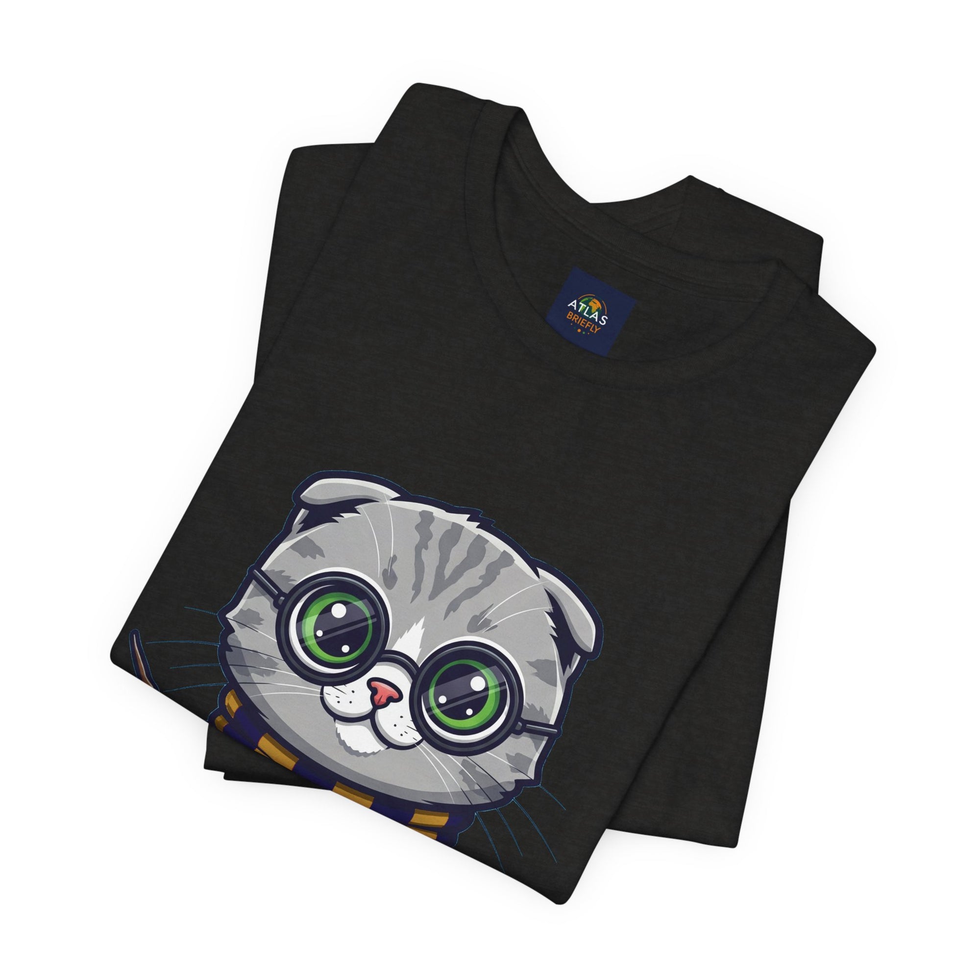 Ravenpaw Harry Potter T-Shirt - Funny Wizarding World Tee | Cute Potter Cat Gift - Atlas Briefly