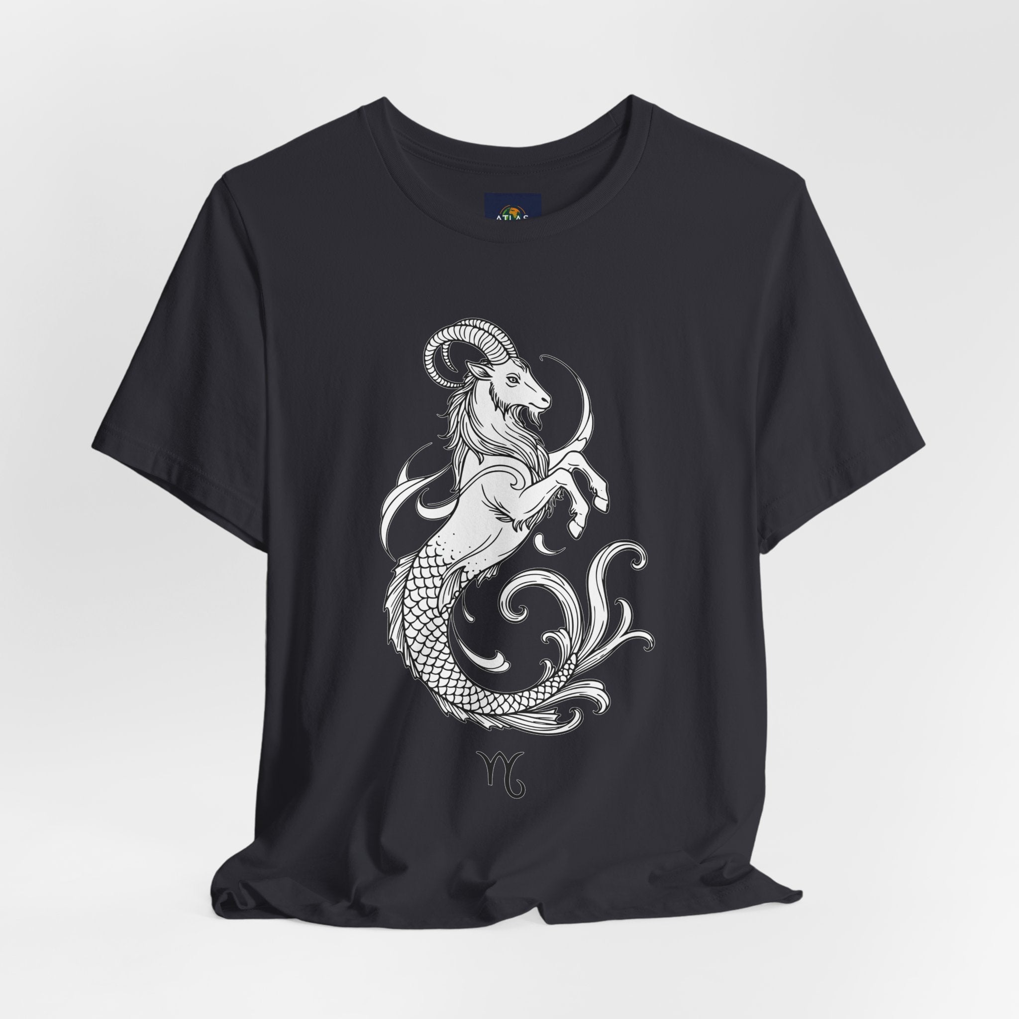 Capricorn Zodiac Tee - Unisex Minimalist Horoscope Shirt in Black and White